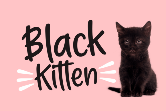 Black Kitten: A Modern Handwritten Font for Your Brand