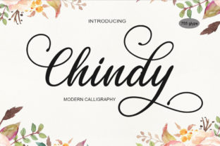 Chindy: A Real-World Review for Designers