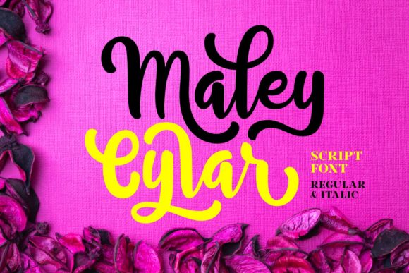 Maley Cylar: A Designer's Practical Review