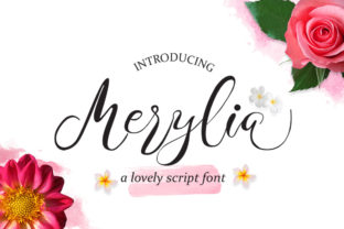 Merylia: A Handwritten Font for Organic Branding