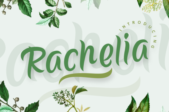 Rachelia: A Handwritten Font for Elegant Editorial Design