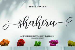 Shahira: A Bold Script Font for Your Brand