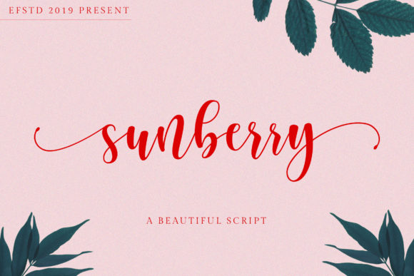 Sunberry: A Bold Handwritten Font for Branding