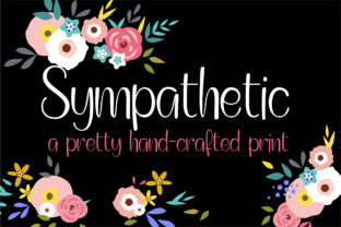 Sympathetic: A Designer's Review of This Script Amp